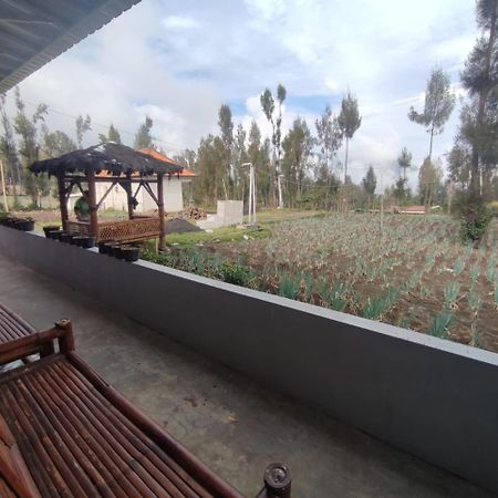 ברומו Elen Homestay By Abm מראה חיצוני תמונה