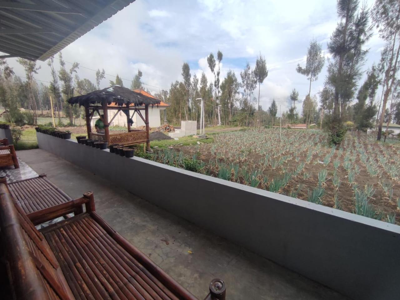 ברומו Elen Homestay By Abm מראה חיצוני תמונה